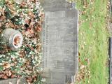 image of grave number 617024